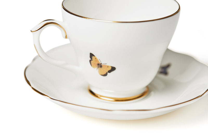 Growing Teacup & Saucer