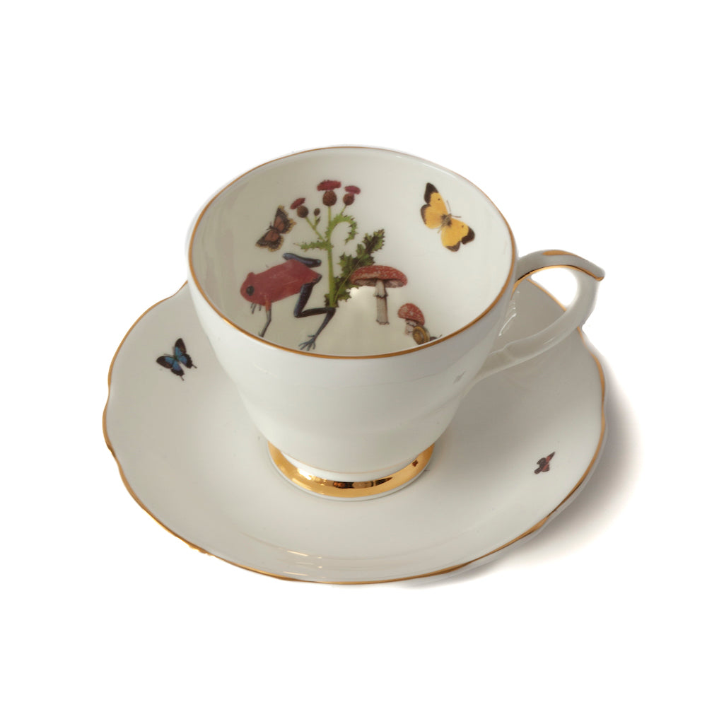 Growing Teacup & Saucer